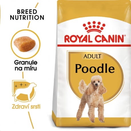 Royal Canin Poodle Adult granule pro dospělého pudla 500g