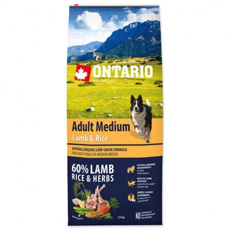 ONTARIO Dog Adult Medium Lamb & Rice & Turkey 2 x 12kg
