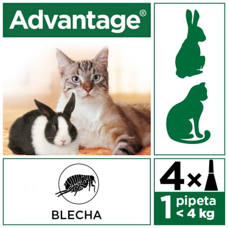 Advantage 40 10% 4x0,4ml pro malé kočky a králíky