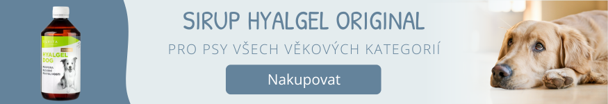 Hyalgel pro psy