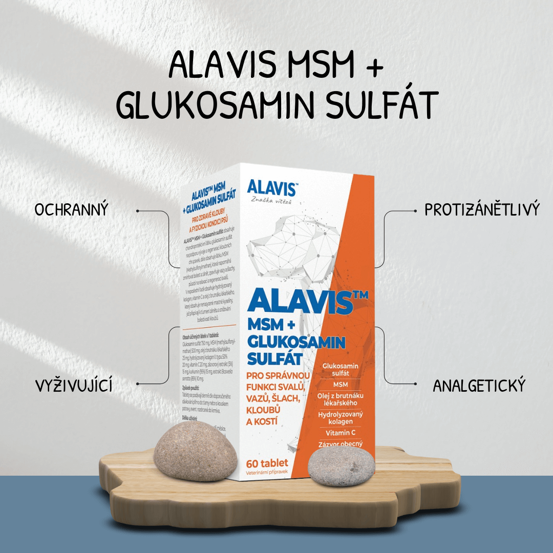 Alavis MSM + glukosaminsulfát funkce