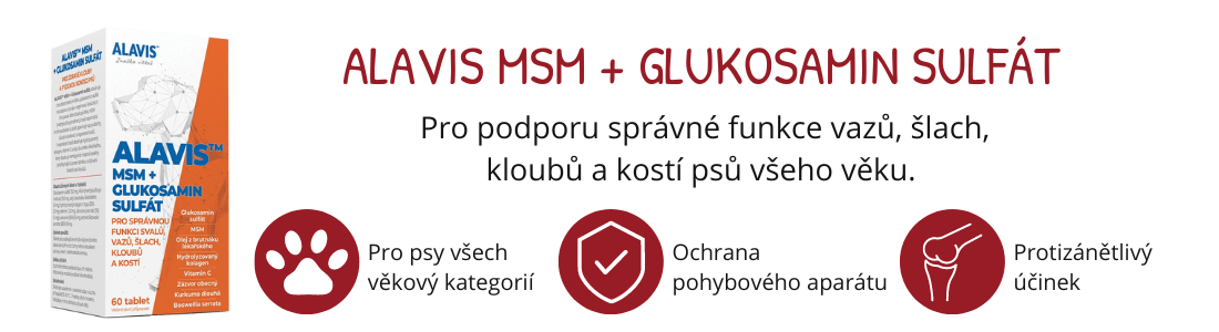 Alavis MSM + Glukosaminsulfát