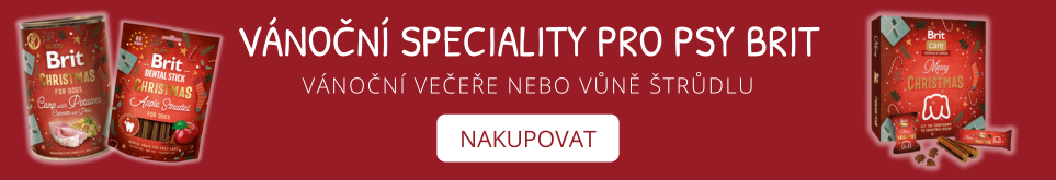 Vánoční pochoutky pro psy Brit