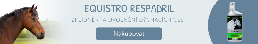 Equistro Respadril na kašel u koně