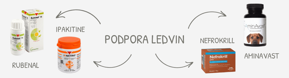 Produkty pro podporu ledvin zvířat