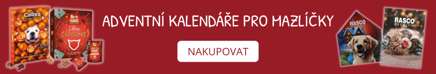 Adventní kalendář pro psy a kočky