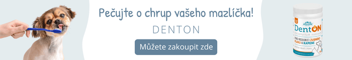 Denton pro péči o chrup