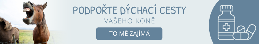Doplňky stravy na kašel pro koně