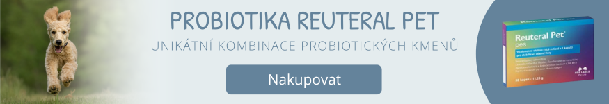 Probiotika Reuteral Pet