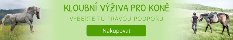 Kloubní výživa pro koně