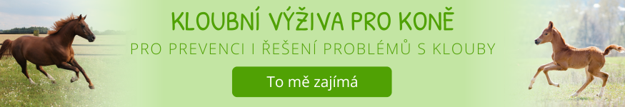 Kloubní výživa pro koně