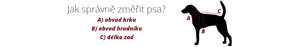 Jak změřit psa