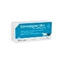 Dermazyme Zinc pro psy a  kočky 50tbl