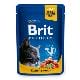 Brit Premium Cat kapsa with Salmon & Trout 100g