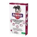 Ataxxa Spot-on Dog L 1250mg/250mg 1x2,5ml