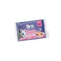 Brit Premium Cat D Fillets in Jelly Dinner Plate 340g