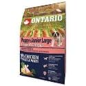 ONTARIO Dog Puppy Junior Large Chicken & Potato 2,25kg