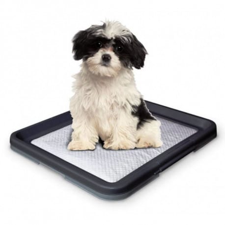 Nobby Doggy Trainer Small psí toaleta 48 x 41 x 3,5 cm