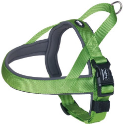Nobby CLASSIC PRENO norský postroj M/L zelený