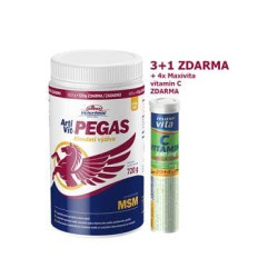 VITAR Veterinae ArtiVit Pegas MSM 720g