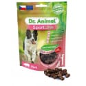 Pochoutka Dr. Animal Sportline vepřové 100g