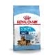 Royal canin Maxi Starter 15kg