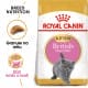 Royal canin Breed Kitten Feline British Shorthair 10kg