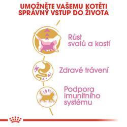 Royal canin Breed Kitten Feline British Shorthair 10kg