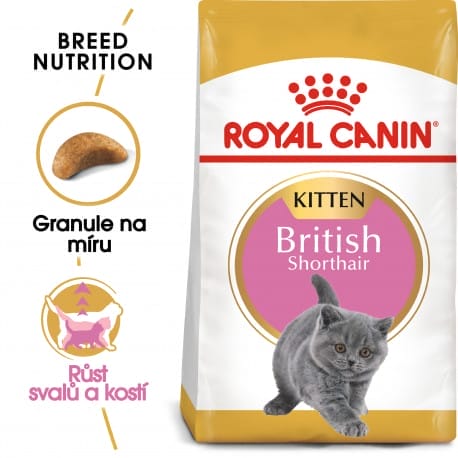Royal canin Breed Kitten Feline British Shorthair 2kg