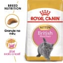 Royal Canin British Shorthair Kitten granule pro britská krátkosrstá koťata 2kg