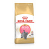 Royal canin Breed Kitten Feline British Shorthair 2kg