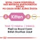 Royal canin Breed Kitten Feline British Shorthair 2kg