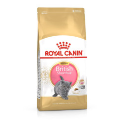 Royal canin Breed Kitten Feline British Shorthair 10kg