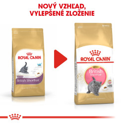 Royal canin Breed Kitten Feline British Shorthair 10kg