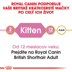 Royal canin Breed Kitten Feline British Shorthair 2kg