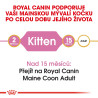 Royal canin Breed Feline Kitten Maine Coon 10kg