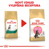 Royal canin Breed Feline Kitten Maine Coon 10kg