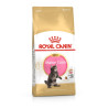 Royal canin Breed Kitten Feline Maine Coon 2kg