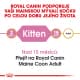 Royal canin Breed Kitten Feline Maine Coon 2kg