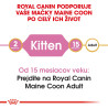 Royal canin Breed Kitten Feline Maine Coon 2kg