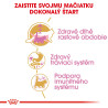 Royal canin Breed Kitten Feline Maine Coon 2kg
