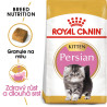 Royal canin Breed Feline Kitten Persian 10kg