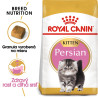 Royal canin Breed Feline Kitten Persian 10kg