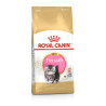 Royal canin Breed Feline Kitten Persian 10kg