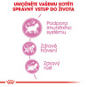 Royal canin Feline Kitten 4kg