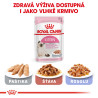 Royal canin Feline Kitten 4kg