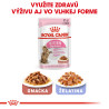 Royal canin Kom. Feline Kitten Sterilised  2kg