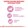 Royal canin Feline Kitten 10kg