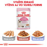 Royal canin Feline Kitten 10kg