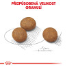 Royal canin Maxi Junior 15kg